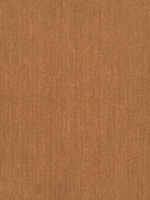 Cover image for book Collected Works of Erasmus