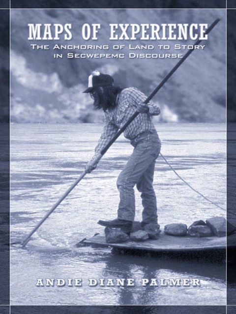 Cover image for book Maps of Experience
