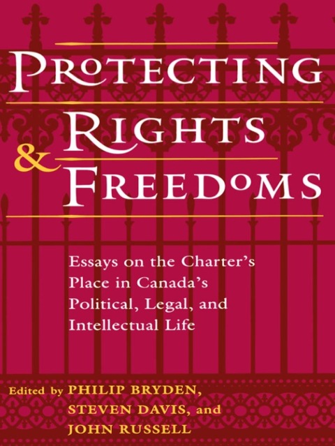 Cover image for book Protecting Rights and Freedoms