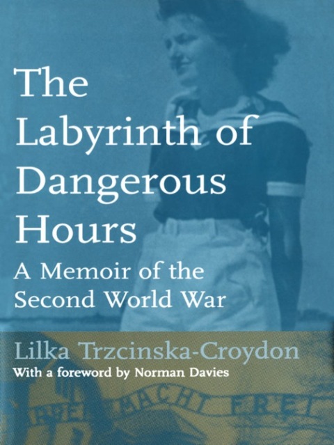 Cover image for book The Labyrinth of Dangerous Hours