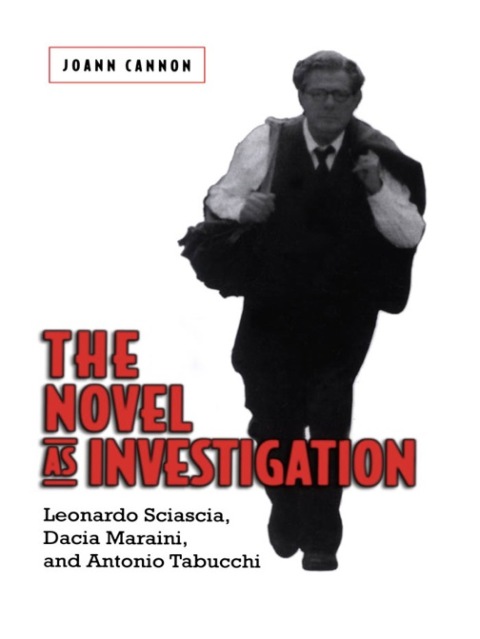Cover image for book The Novel as Investigation