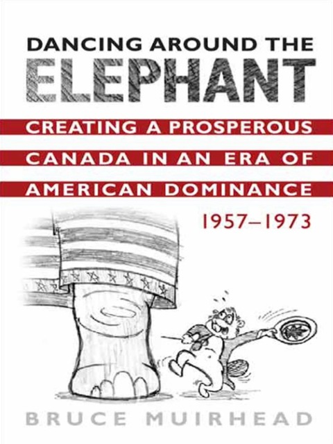 Cover image for book Dancing Around the Elephant