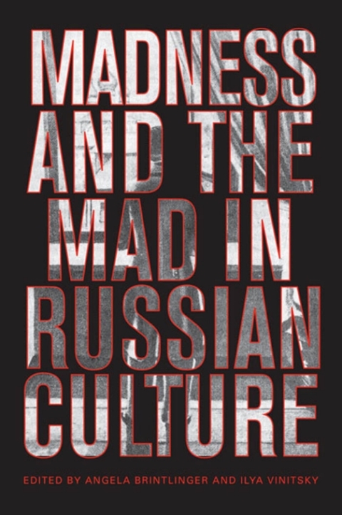 Cover image for book Madness and the Mad in Russian Culture