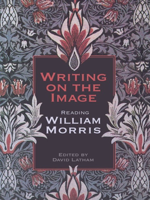Cover image for book Writing on the  Image