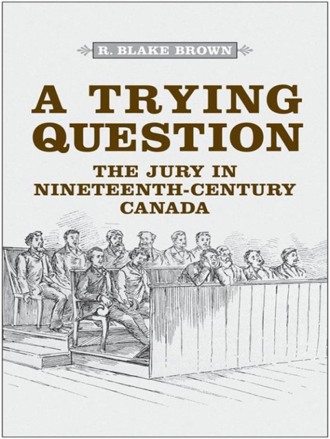 Cover image for book A Trying Question