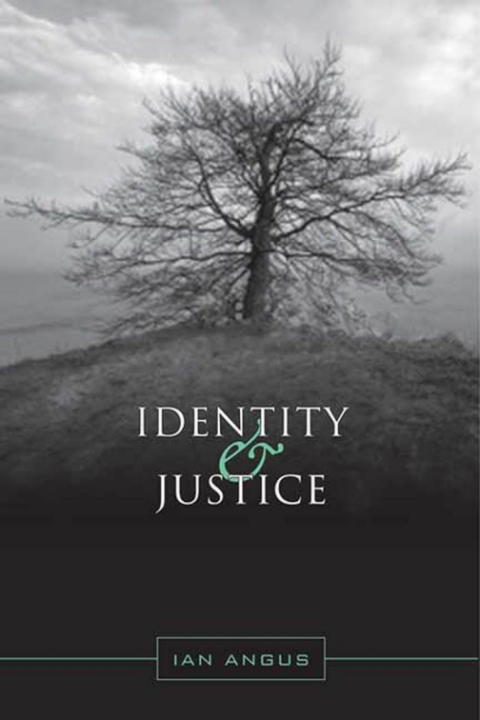 Cover image for book Identity and Justice