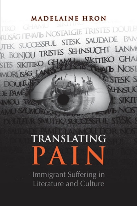 Cover image for book Translating Pain