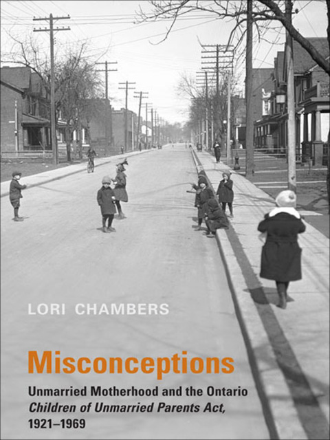 Cover image for book Misconceptions