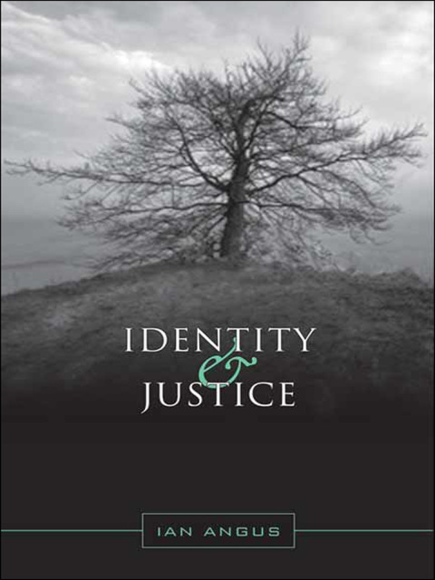 Cover image for book Identity and Justice