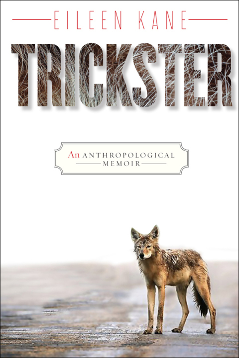 Cover image for book Trickster