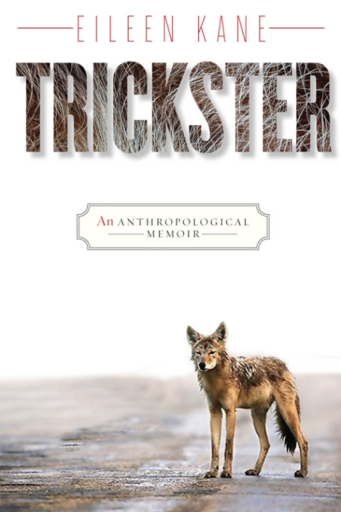 Cover image for book Trickster