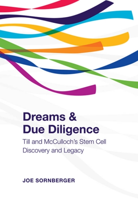 Cover image for book Dreams and Due Diligence