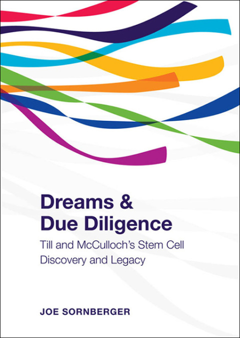 Cover image for book Dreams and Due Diligence