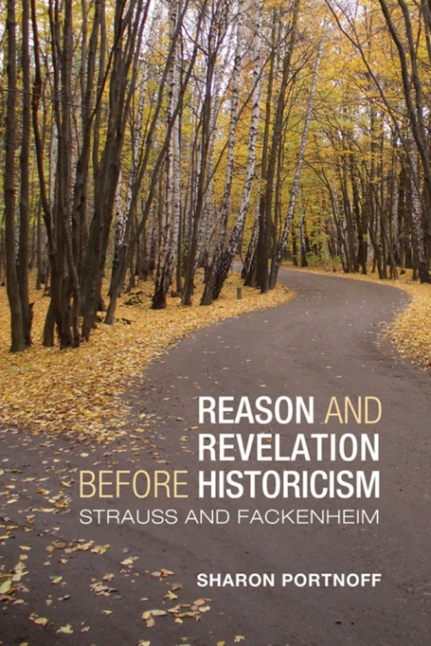 Cover image for book Reason and Revelation before Historicism