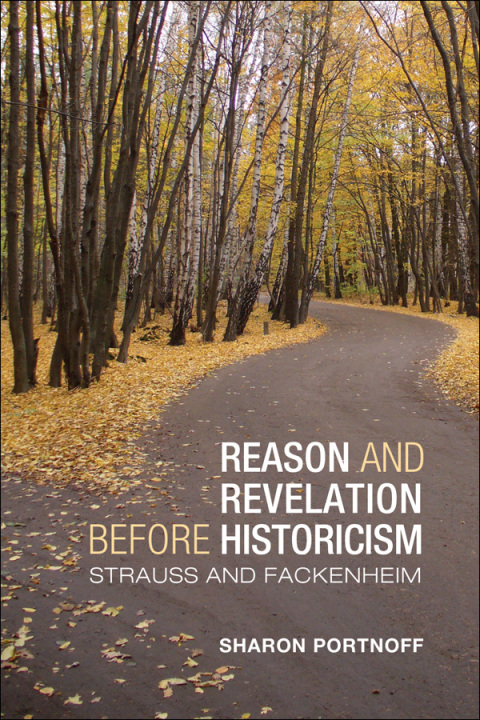 Cover image for book Reason and Revelation before Historicism