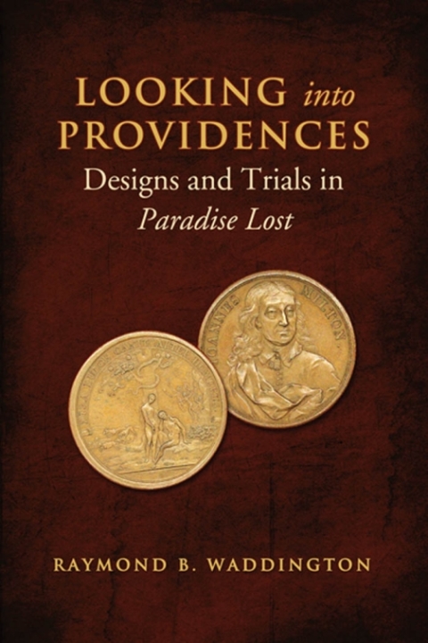 Cover image for book Looking Into Providences