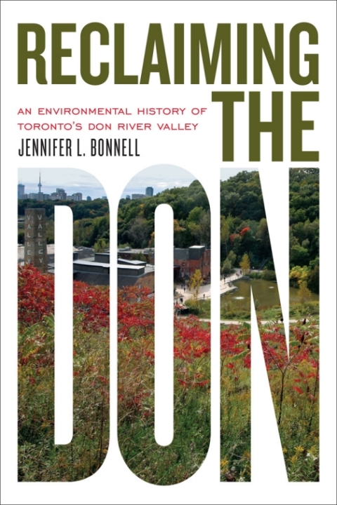 Cover image for book Reclaiming the Don
