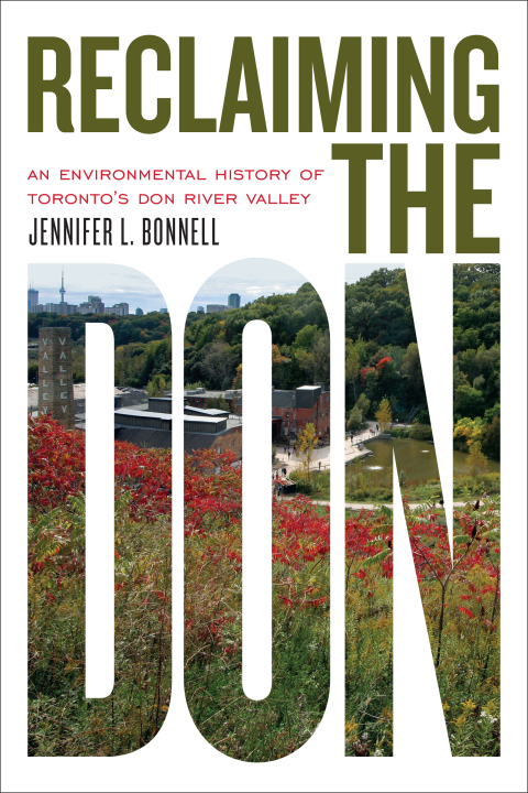 Cover image for book Reclaiming the Don