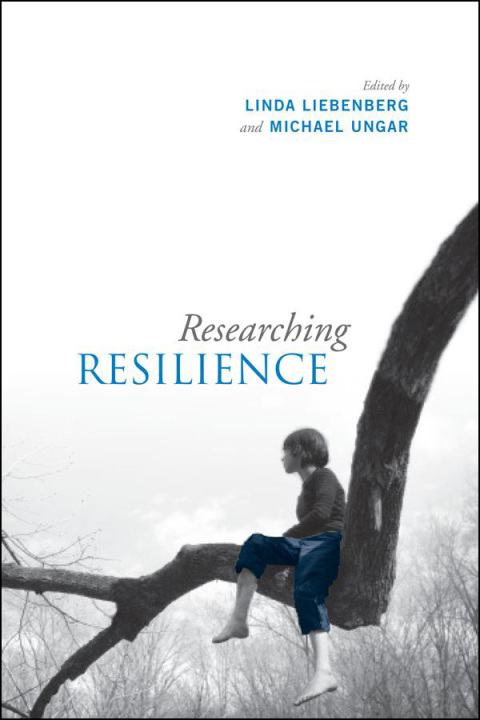 Cover image for book Researching Resilience