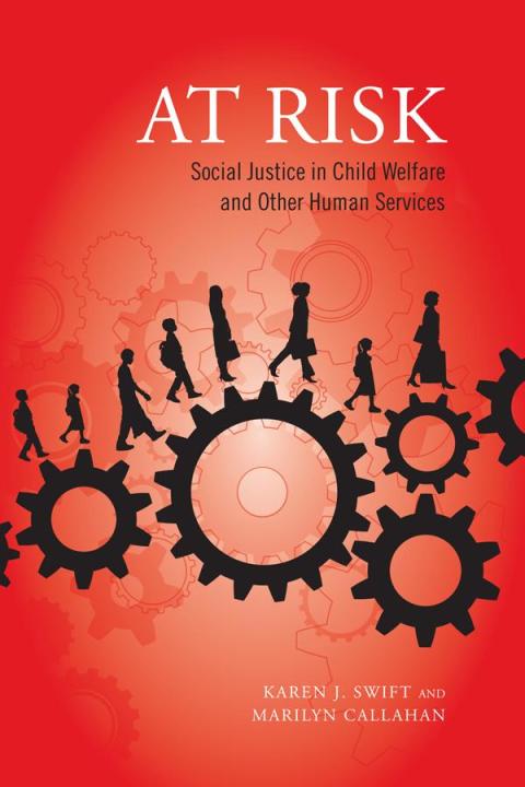 Cover image for book At Risk