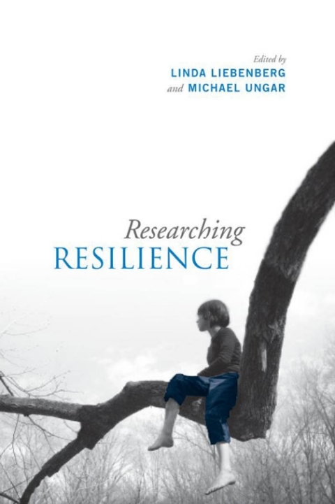 Cover image for book Researching Resilience