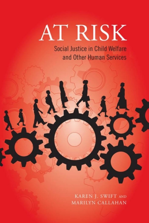 Cover image for book At Risk