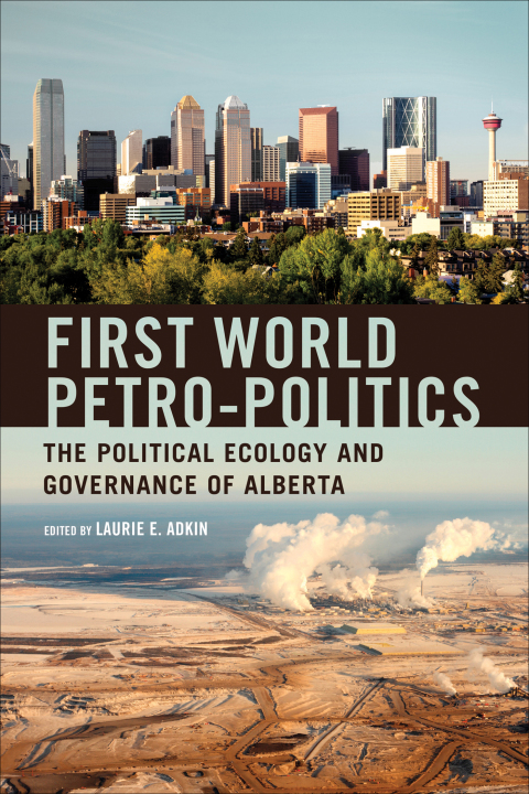 Cover image for book First World Petro-Politics