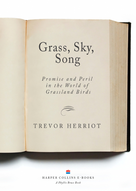 Cover image for book Grass, Sky, Song