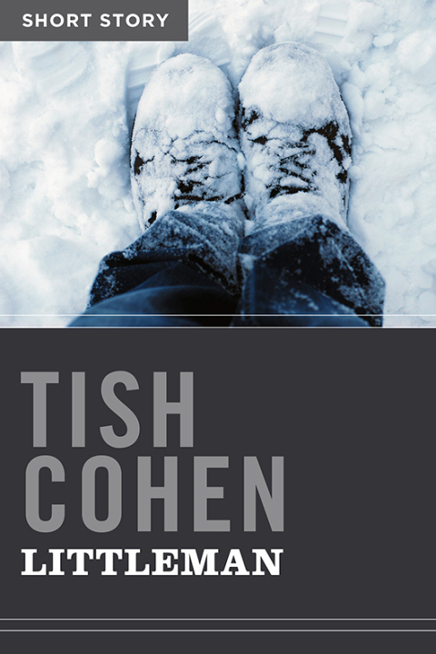 Cover image for book Littleman