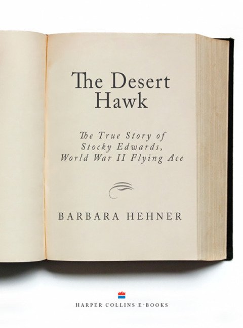Cover image for book Desert Hawk