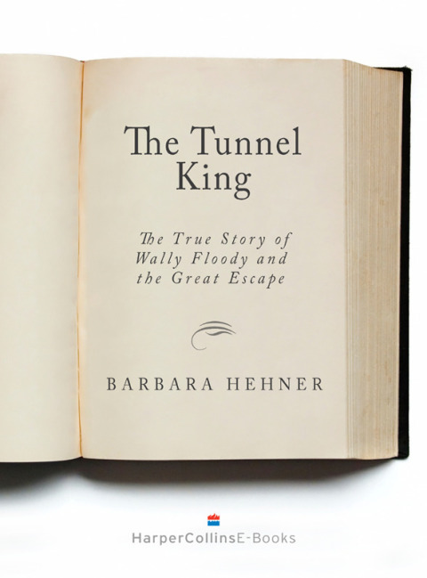 Cover image for book Tunnel King