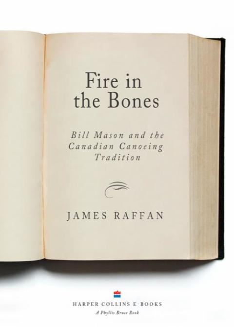 Cover image for book Fire In The Bones