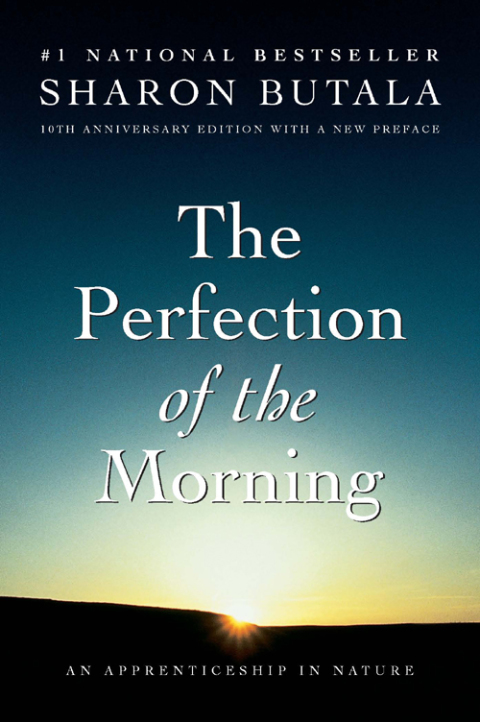 Cover image for book Perfection Of The Morning