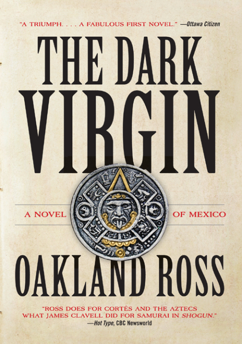 Cover image for book The Dark Virgin