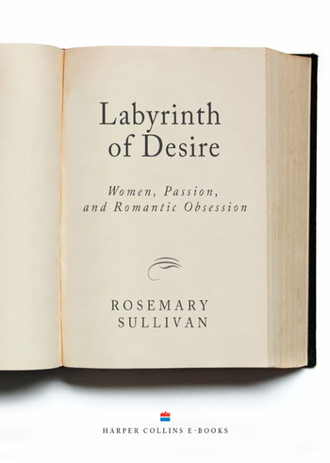 Cover image for book Labyrinth Of Desire