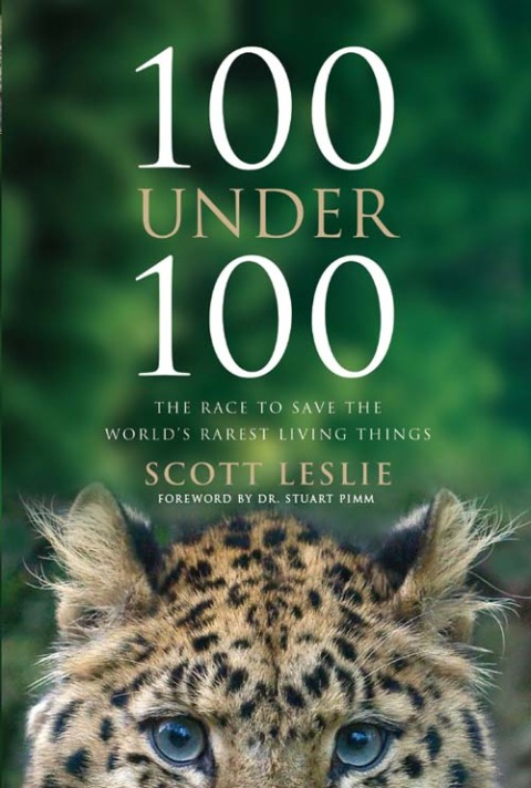 Cover image for book 100 Under 100