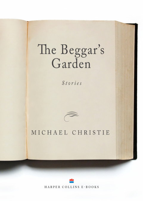 Cover image for book Beggar's Garden
