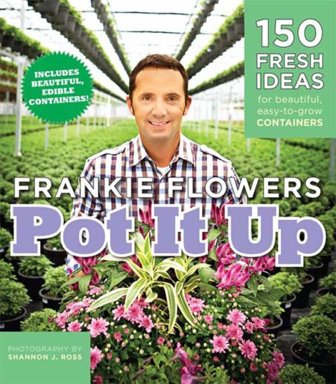 Cover image for book Pot It Up