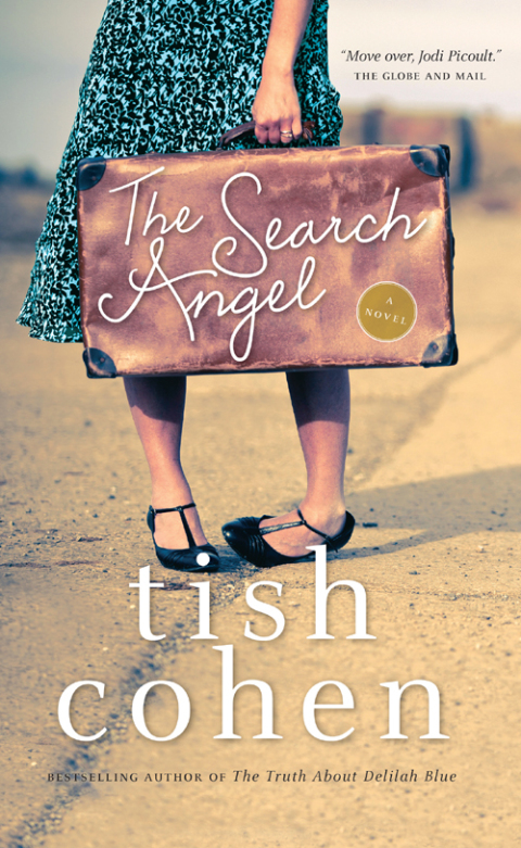 Cover image for book The Search Angel