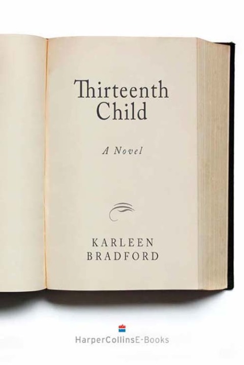 Cover image for book The Thirteenth Child