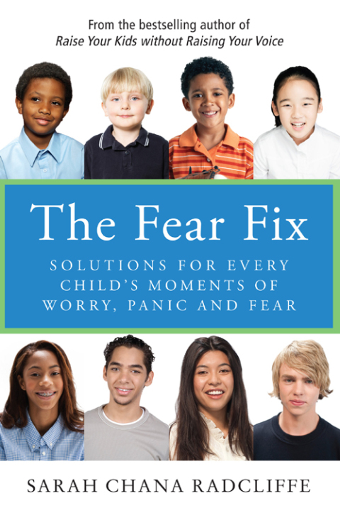 Cover image for book The Fear Fix