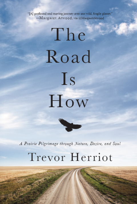 Cover image for book The Road Is How