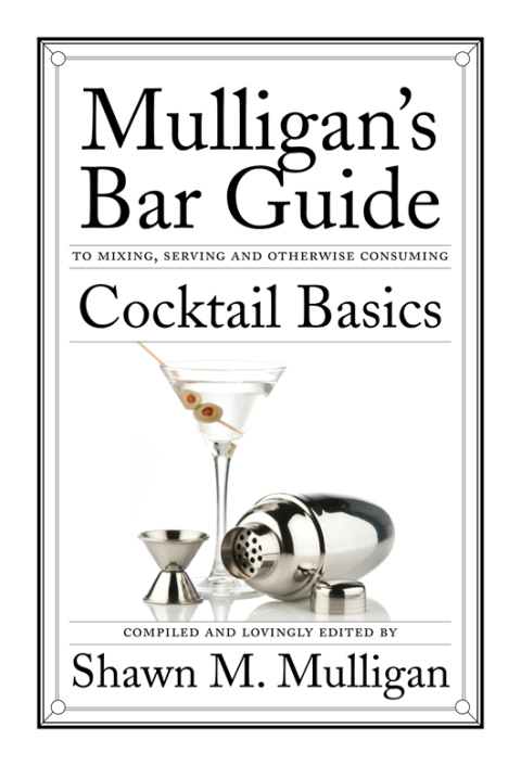 Cover image for book Cocktail Basics