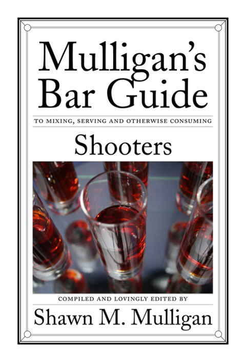 Cover image for book Shooters