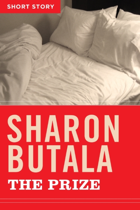 Cover image for book The Prize