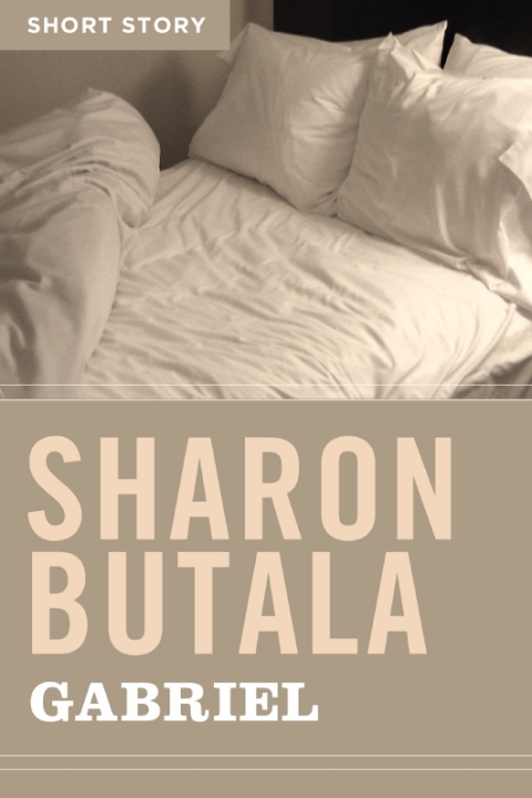 Cover image for book Gabriel