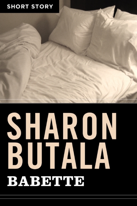 Cover image for book Babette
