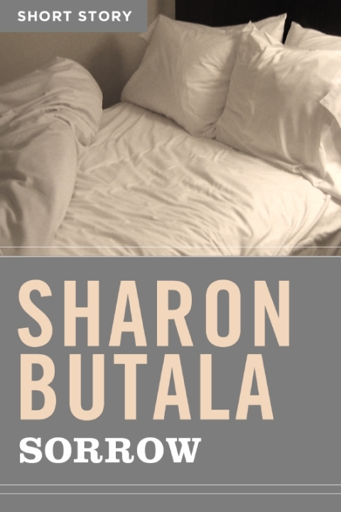 Cover image for book Sorrow