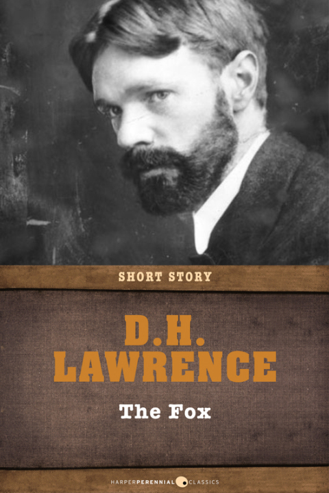Cover image for book The Fox