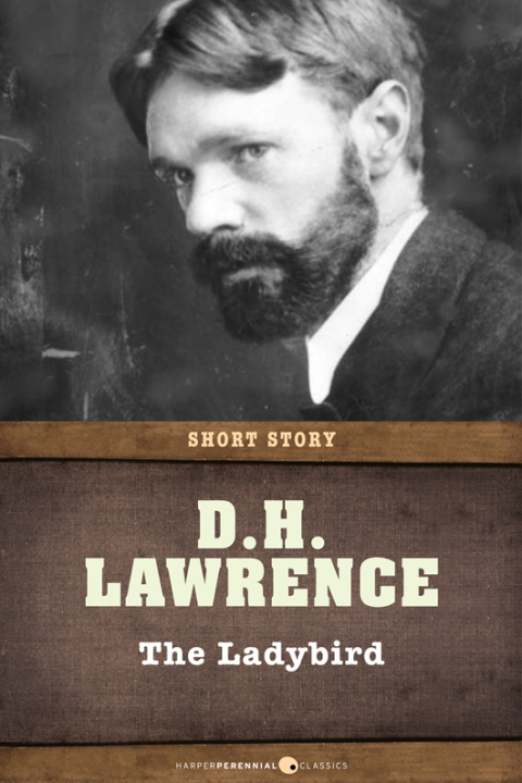 Cover image for book The Ladybird